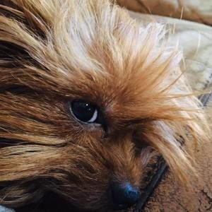 Meet your Posher, Cathy